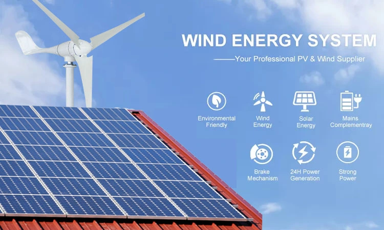 600W Small Wind Generator/Wind Turbine /Wind Mill