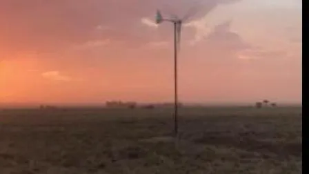 Molino de turbina eólica horizontal de 600 W adecuado para áreas de poco viento